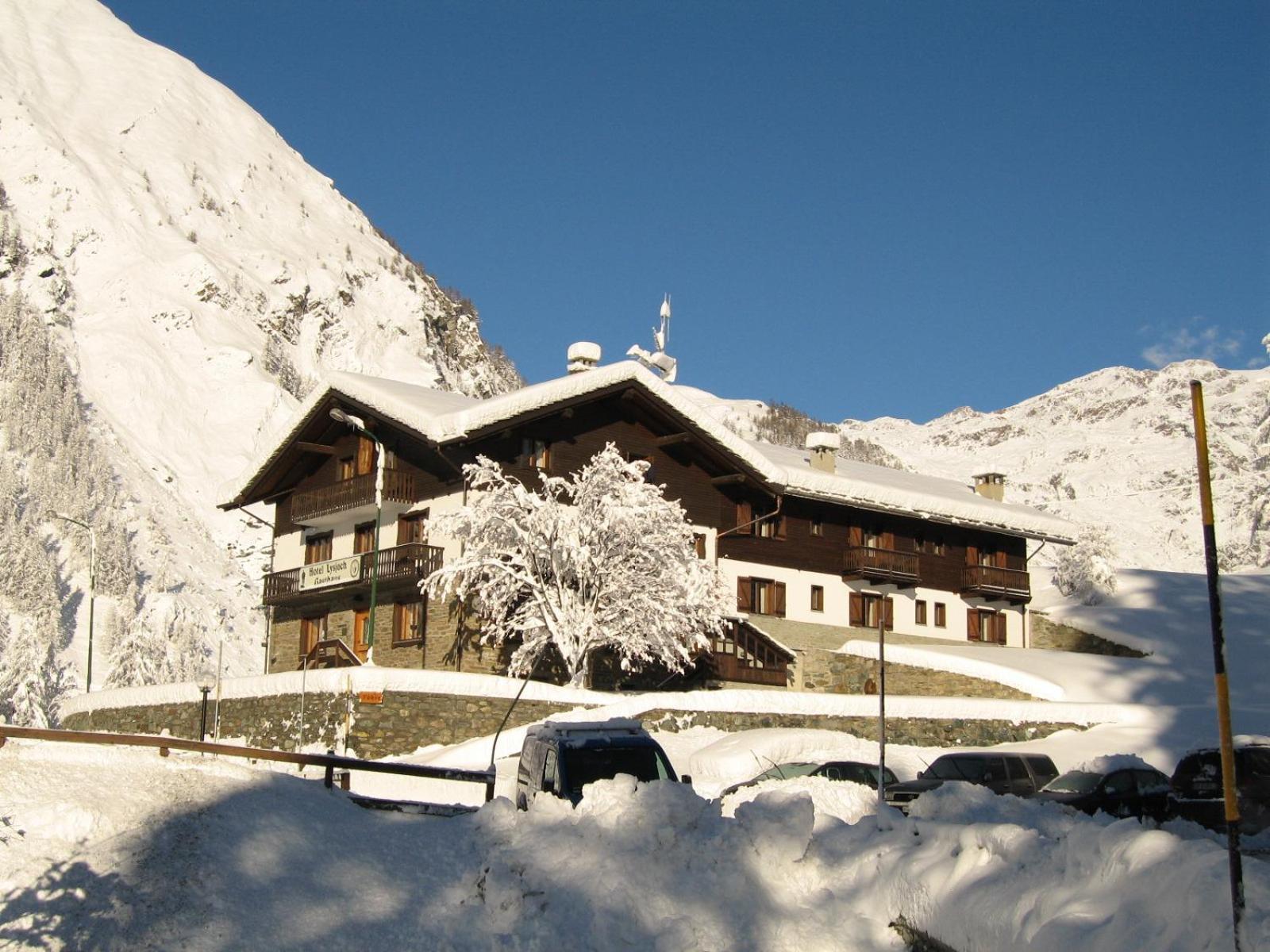 Gressoney-la-Trinité Hotel Lysjoch מראה חיצוני תמונה